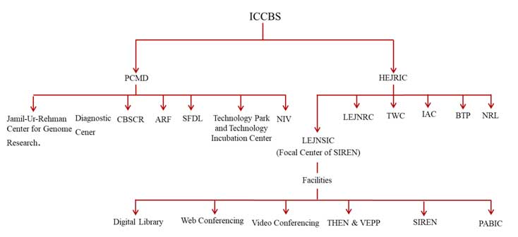 Organogram Iccbs